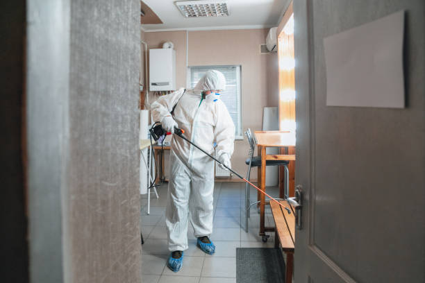 Best Attic Mold Removal  in Covington, KY