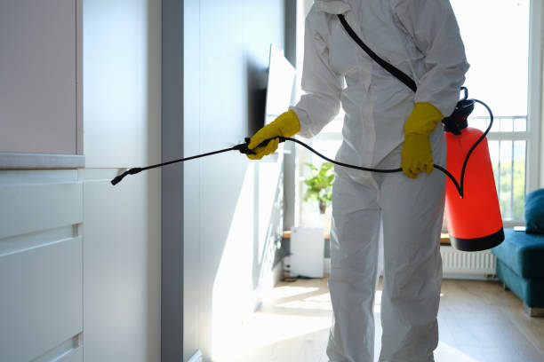 Best Airborne Mold Testing  in Covington, KY