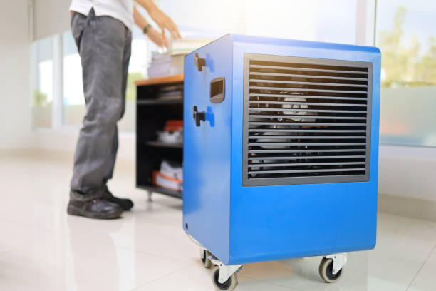 Best Basement Mold Removal  in Covington, KY